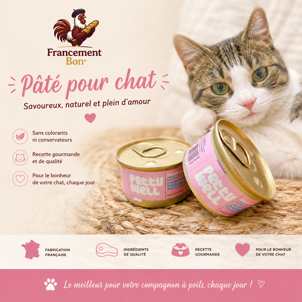 Pâtée Chat - Recette Saumon- 0.80g